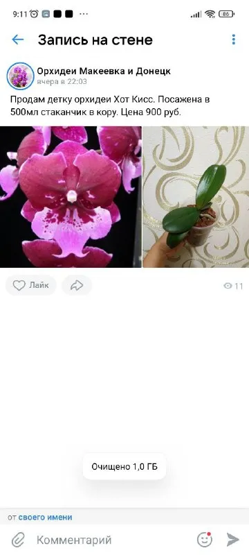 Описание:
Продам орхидеи
Раздача: макеевка-харцызск-донецк

Цена: 1500 руб.

📲 Tg: инна
📞🇷🇺Звоните: +79494042860

Барахолка днр - фотография - 1