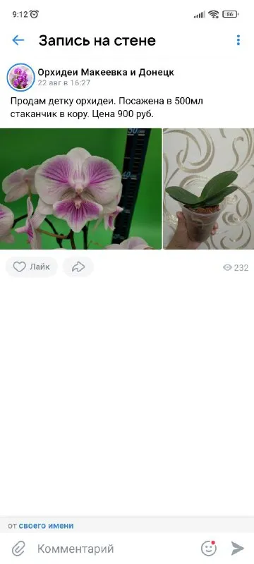 Описание:
Продам орхидеи
Раздача: макеевка-харцызск-донецк

Цена: 1500 руб.

📲 Tg: инна
📞🇷🇺Звоните: +79494042860

Барахолка днр - фотография - 5