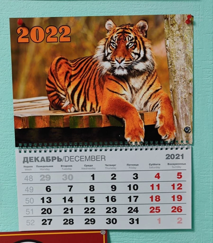 Печать и дизайн календарей от 1 шт. календарь 2026 в донецке напечатаем и соберем квартальные календари на 2026 год с вашим логотипом или фото от 1 экз. изготовим в донецке: -квартальные календари -настенные -постерные -перекидные календари -настольные календари домики -акриловые календари -карманные календарики помощь в разработке дизайна. печатаем от 1 экземпляра отправка по городам почтой хотите заказать уникальную продукцию или просто проконсультироваться? напишите нам в сообщество или позвоните по телефону: +7(949)3151388 +7(949)3151394 донецк, ул. щорса 38, 5 офис (2 подъезд, 2 этаж) (пересечение щорса и б. хмельницкого) южпринт telegram, макс +7(949)3151388, +7(949)3151394 - фотография - 3